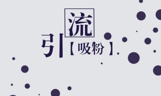 保險(xiǎn)理財(cái)企業(yè)做代運(yùn)營業(yè)務(wù)可以選擇什么樣的公司？   